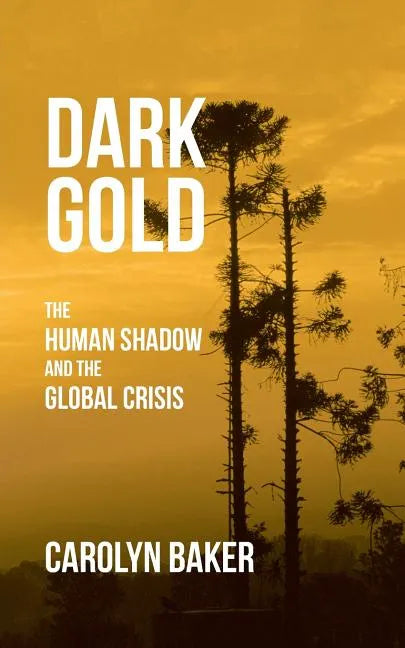Dark Gold: The Human Shadow and the Global Crisis - Paperback