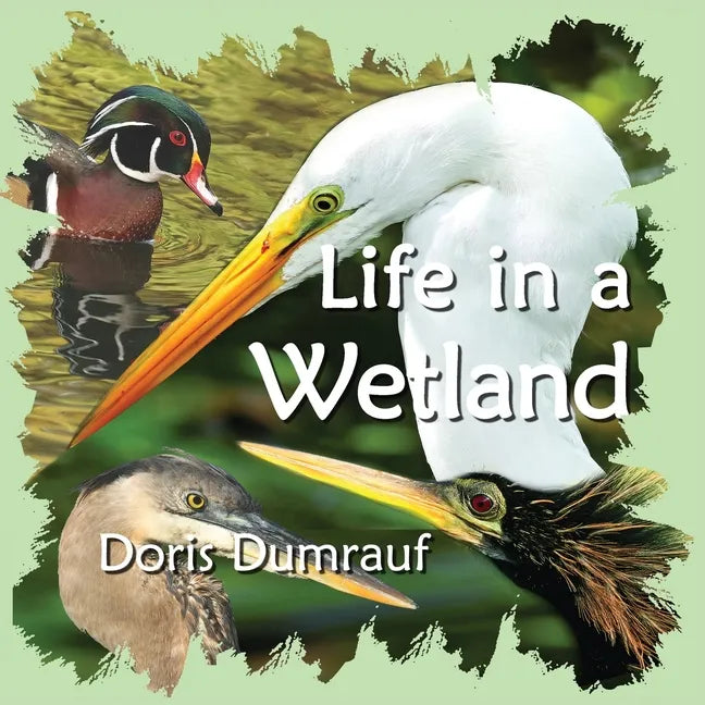 Life In A Wetland - Paperback