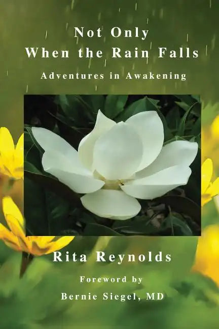 Not Only When The Rain Falls: Adventures in Awakening - Paperback