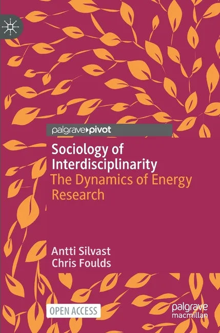 Sociology of Interdisciplinarity: The Dynamics of Energy Research - Hardcover