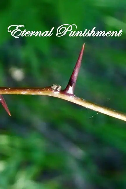 Eternal Punishment - Paperback