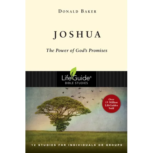 Joshua: The Power of God's Promise - Paperback