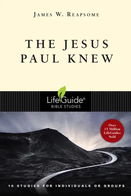 The Jesus Paul Knew - Paperback