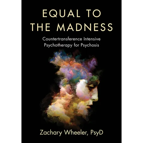 Equal to the Madness: Countertransference Intensive Psychotherapy for Psychosis - Paperback