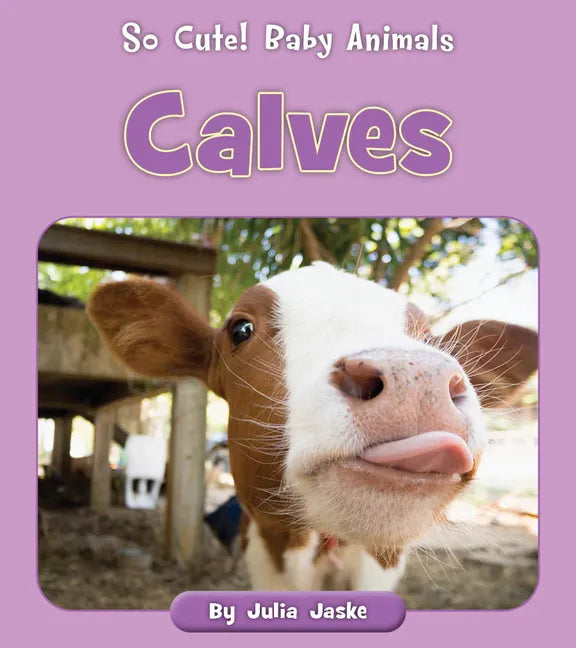 Calves - Paperback
