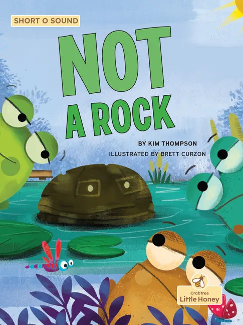 Not a Rock - Paperback
