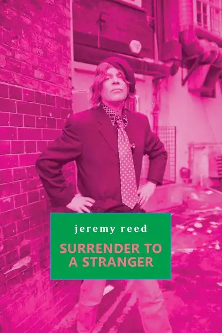 Surrender to a Stranger - Paperback