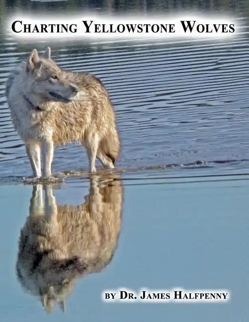 Charting Yellowstone Wolves - Paperback