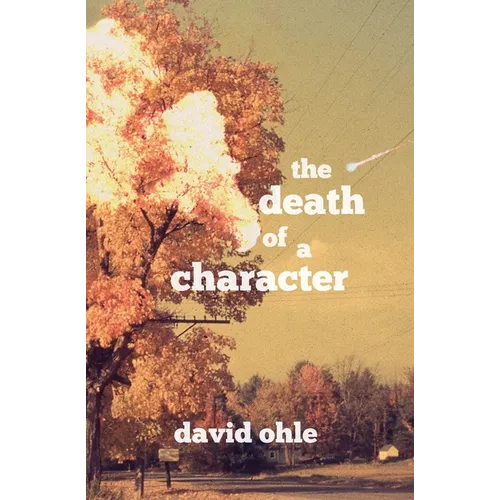 The Death of a Character - Paperback