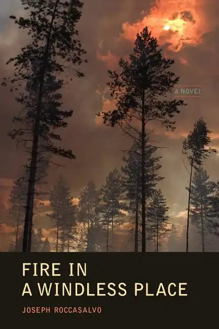 Fire in a Windless Place - Paperback