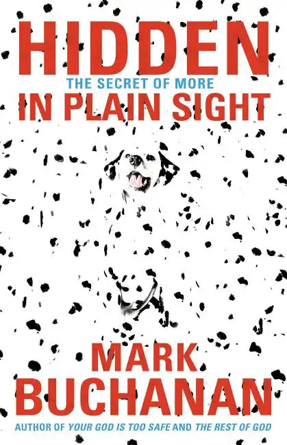 Hidden in Plain Sight: The Secret of More - Paperback