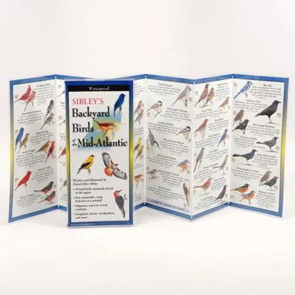 Sibley's Back. Birds of Mid-Atlantic