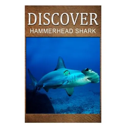 Hammerhead Shark - Discover: Early reader's wildlife photography book - Paperback