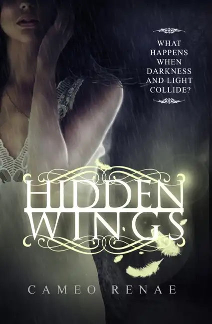 Hidden Wings (Hidden Wings Series Book One) - Paperback