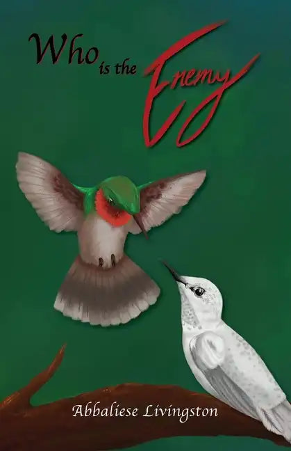 Who is the Enemy - Paperback