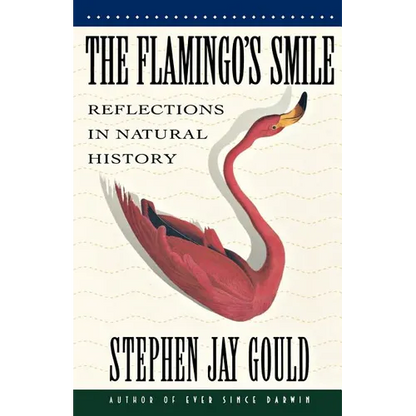 The Flamingo's Smile: Reflections in Natural History - Paperback