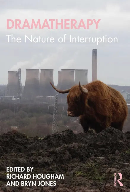 Dramatherapy: The Nature of Interruption - Paperback