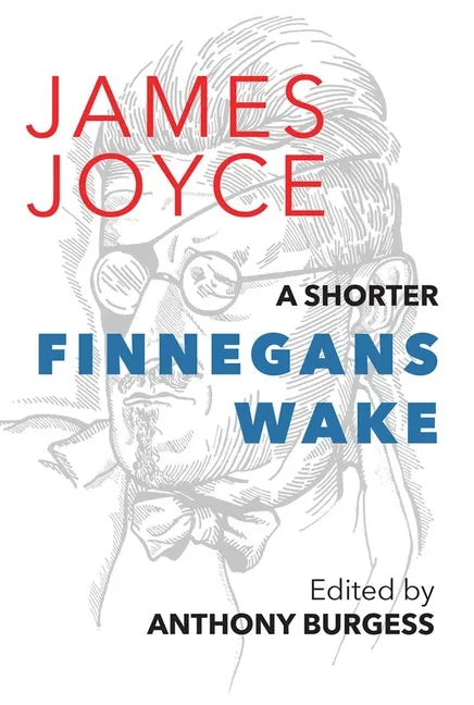 A Shorter Finnegans Wake - Paperback