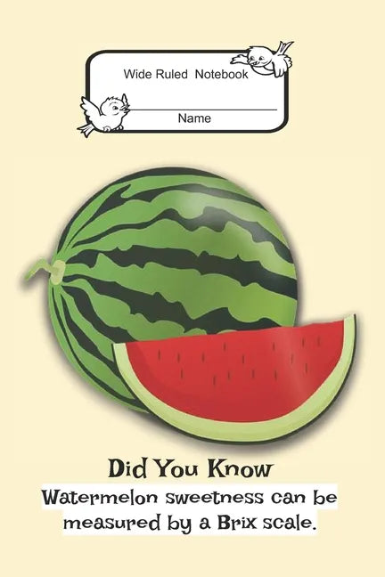 Composition Book: Wide Rule- Watermelon - Paperback