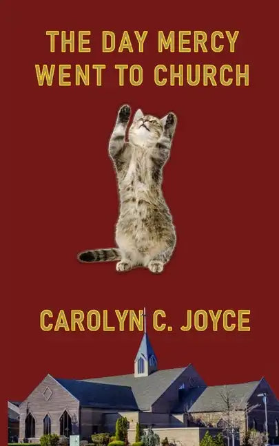 The Day Mercy Went To Church - Paperback