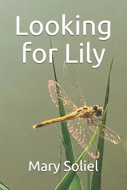 Looking for Lily - Paperback