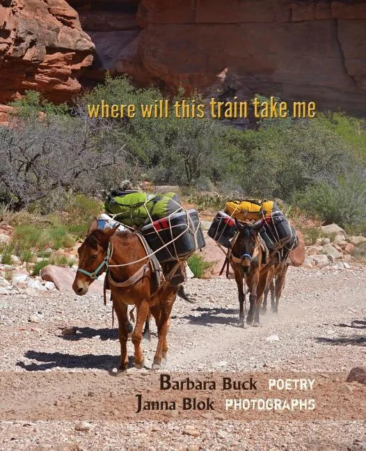 where will this train take me - Paperback