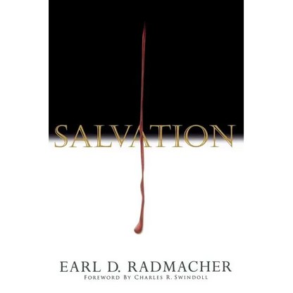 The Salvation - Paperback