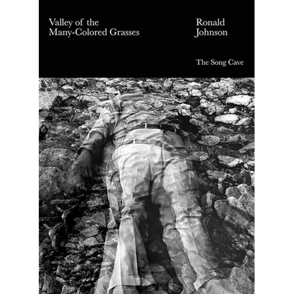 Valley of the Many-Colored Grasses - Paperback