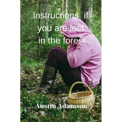 instructions if you are lost in the forest - Paperback