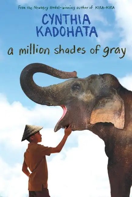 A Million Shades of Gray - Paperback