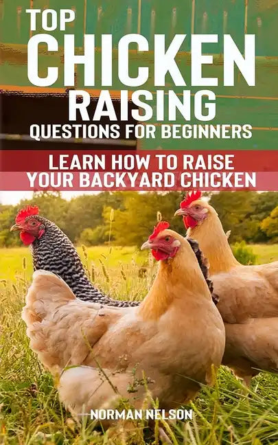 Top Chicken Raising Questions for Beginners: Learn How To Raise Your Backyard Chicken - Paperback