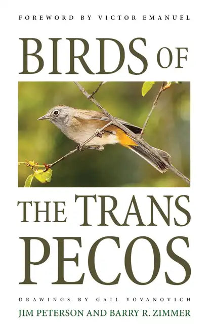 Birds of the Trans-Pecos - Paperback