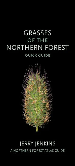 Grasses of the Northern Forest: Quick Guide