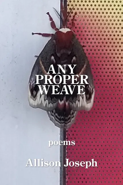 Any Proper Weave - Paperback