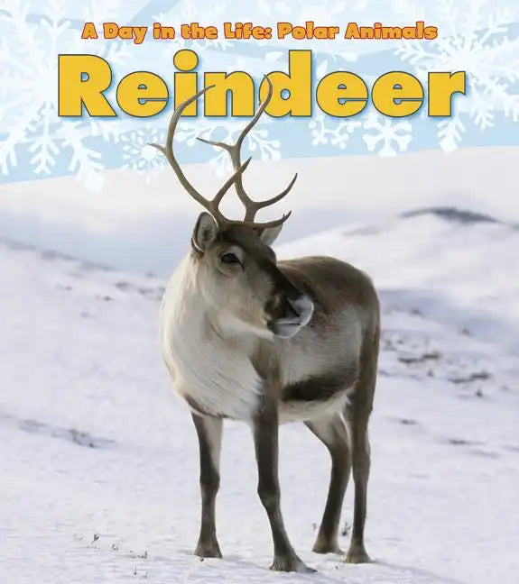 Reindeer - Paperback