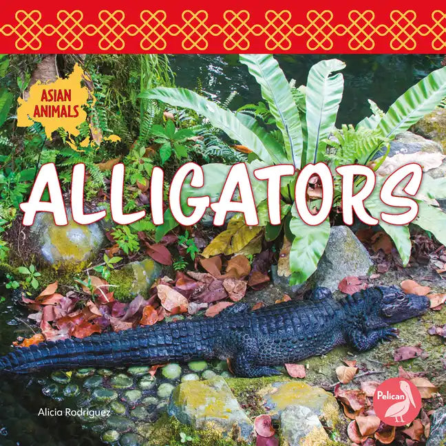 Alligators - Paperback