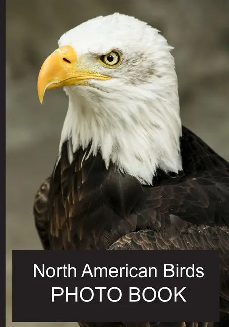 North American Birds Photo Book: 40 Different Bird Photos With Identification Names For Alzheimer & Dementia Patients To Help With Memories and Memory - Paperback