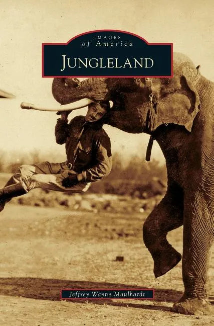 Jungleland - Hardcover