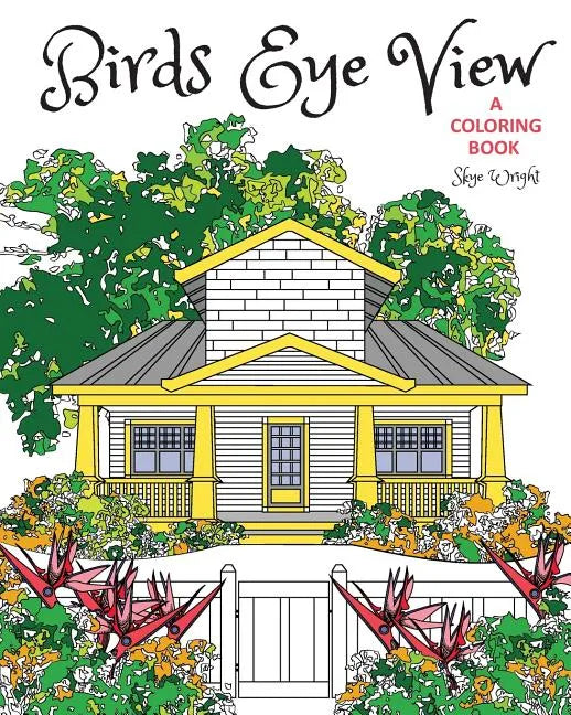 Birds Eye View Coloring Book - Paperback
