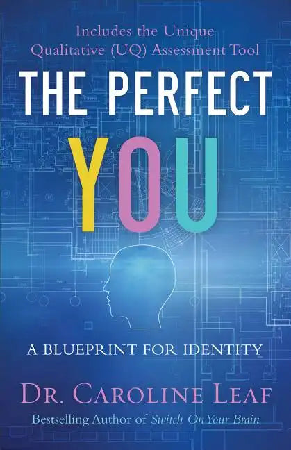 The Perfect You: A Blueprint for Identity - Paperback
