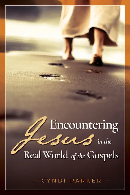 Encountering Jesus in the Real World of the Gospels - Paperback