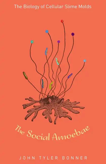 The Social Amoebae: The Biology of Cellular Slime Molds - Hardcover