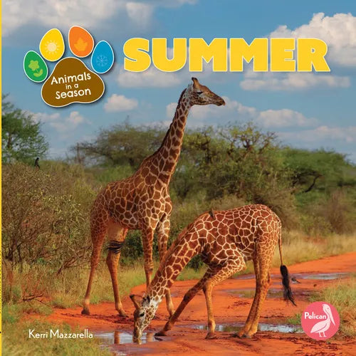 Summer - Hardcover