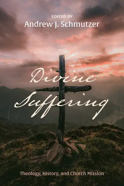 Divine Suffering: Theology, History, and Church Mission - Paperback