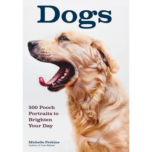Dogs: 500 Pooch Portraits to Brighten Your Day - Paperback