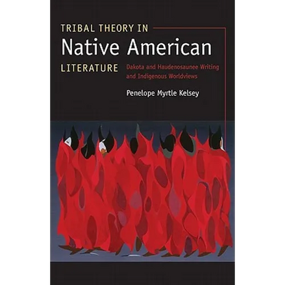 Tribal Theory in Native American Literature: Dakota and Haudenosaunee Writing and Indigenous Worldviews - Paperback