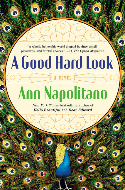 A Good Hard Look - Paperback