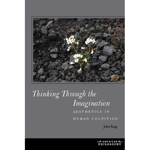 Thinking Through the Imagination: Aesthetics in Human Cognition - Paperback