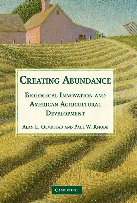 Creating Abundance - Paperback