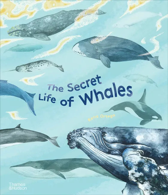 The Secret Life of Whales - Hardcover